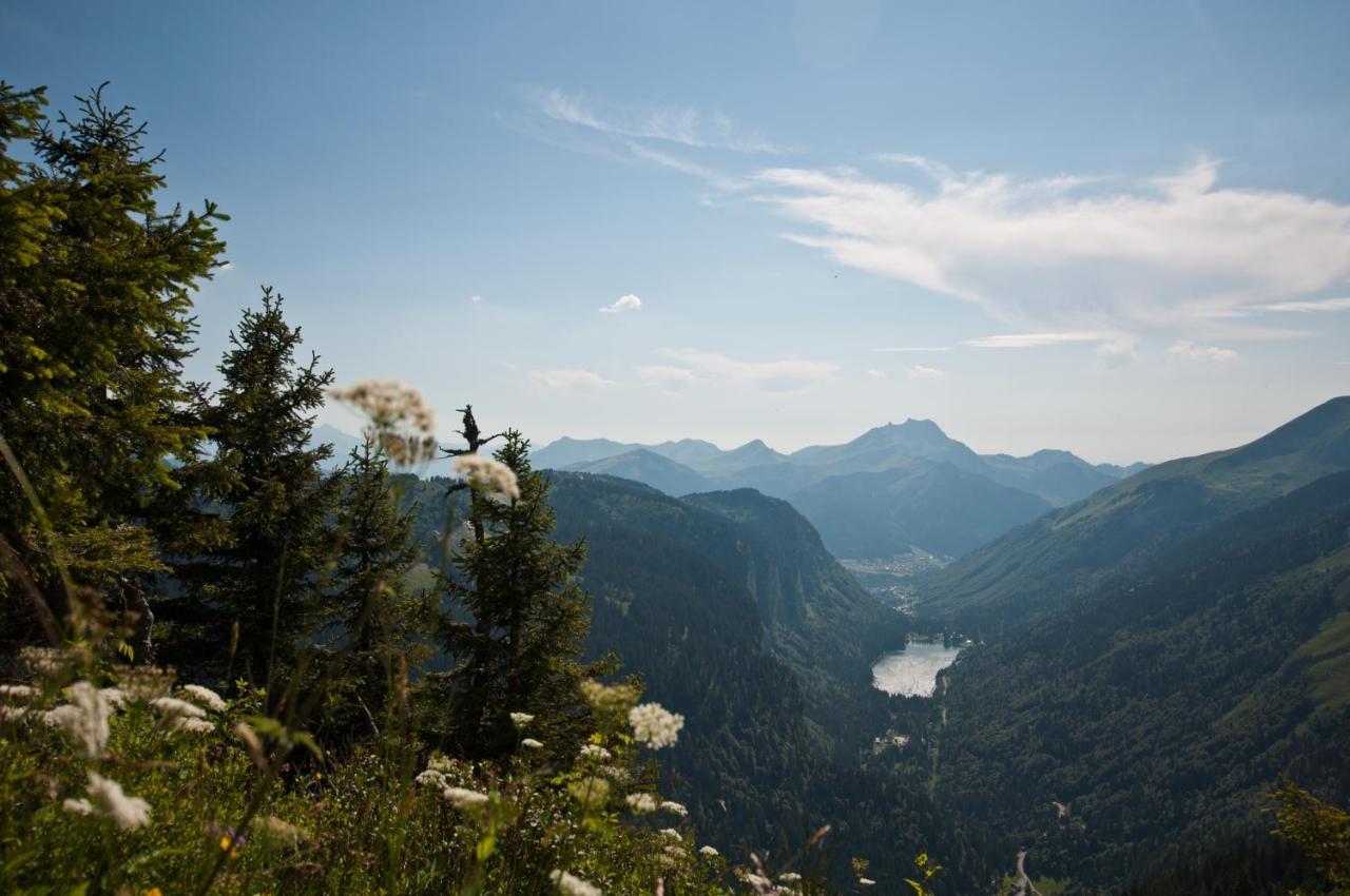 Chalet Sur Les Monts Morzine Монрйон Екстер'єр фото