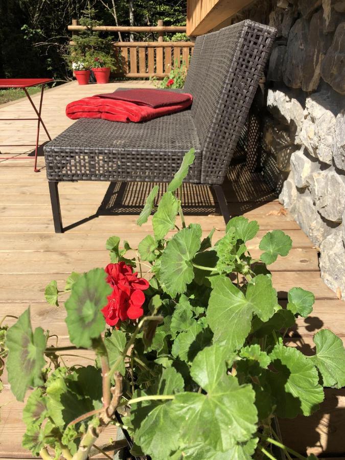 Chalet Sur Les Monts Morzine Монрйон Екстер'єр фото